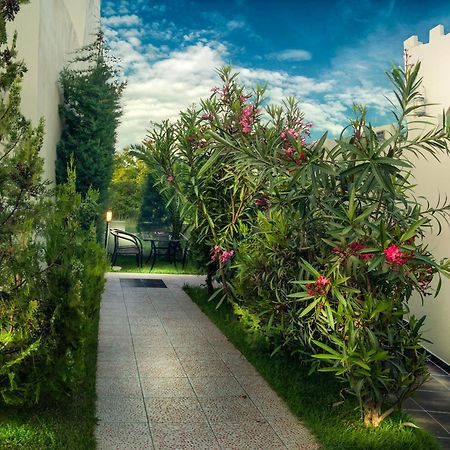 Abbacy Katiana'S Castelleti 1 Daire Limenas  Dış mekan fotoğraf